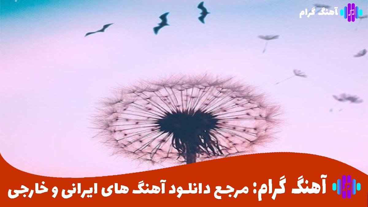 کاور آهنگ طوفان از امیر مقاره و هایده 